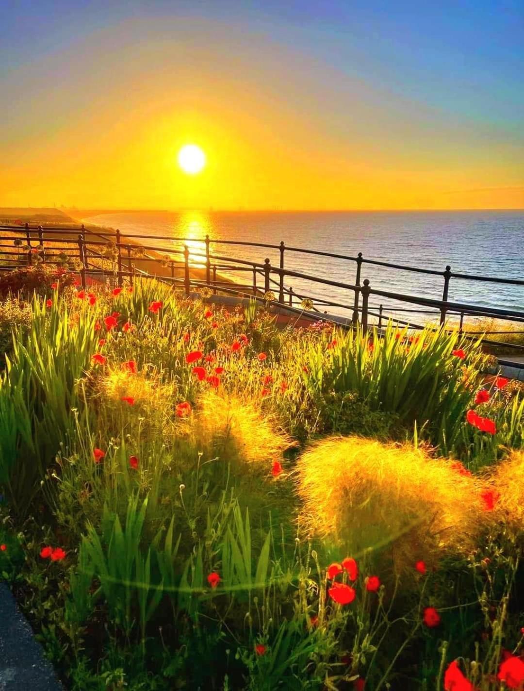 Sea Forever Oceanfront Home Perfectly Saltburn Saltburn-by-the-Sea Exterior foto