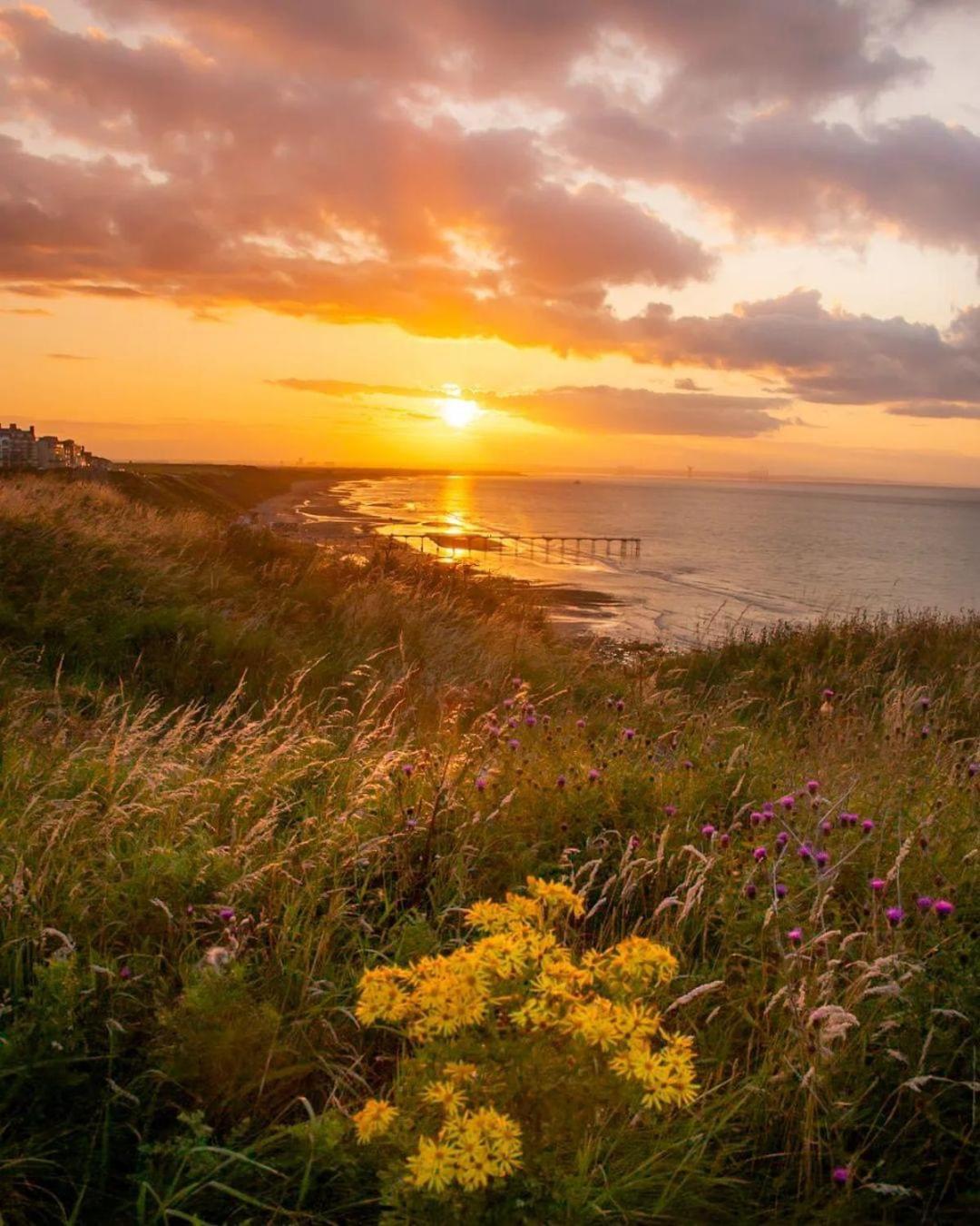 Sea Forever Oceanfront Home Perfectly Saltburn Saltburn-by-the-Sea Exterior foto